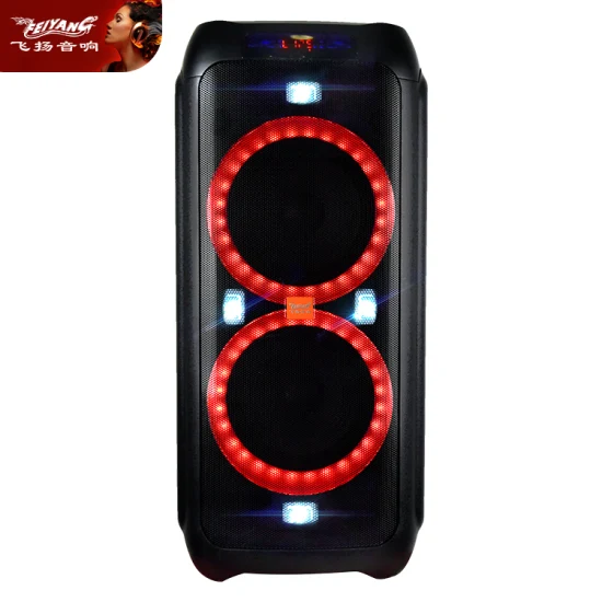 Feiyang Portable Bluetooth Rechargeable Speaker Box Double 8 Inch