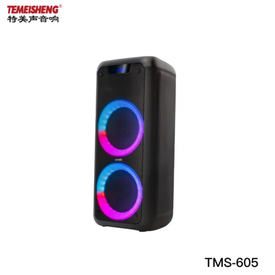 Portable Speaker Double 6.5inch Party Box with Bluteooth FM Tws